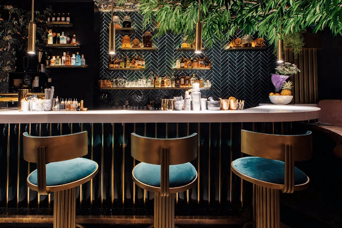 Fitzcarraldo speakeasy bar in Vienna with velvet bar stools, dark herringbone tiles and hanging plants